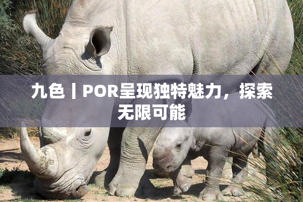 九色丨POR呈现独特魅力，探索无限可能