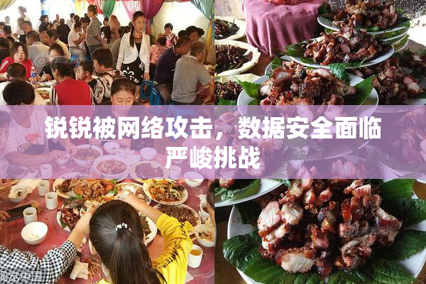 锐锐被网络攻击，数据安全面临严峻挑战