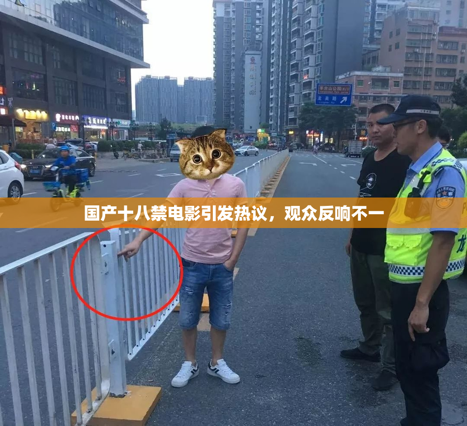 国产十八禁电影引发热议，观众反响不一