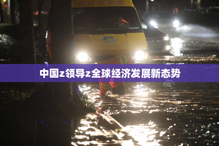 中国z领导z全球经济发展新态势