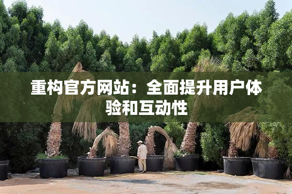 重构官方网站：全面提升用户体验和互动性