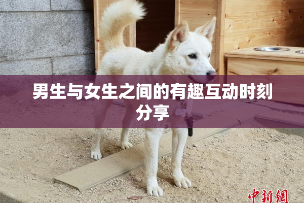 男生与女生之间的有趣互动时刻分享