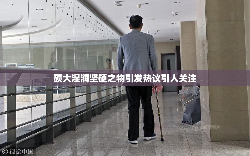 硕大湿润坚硬之物引发热议引人关注
