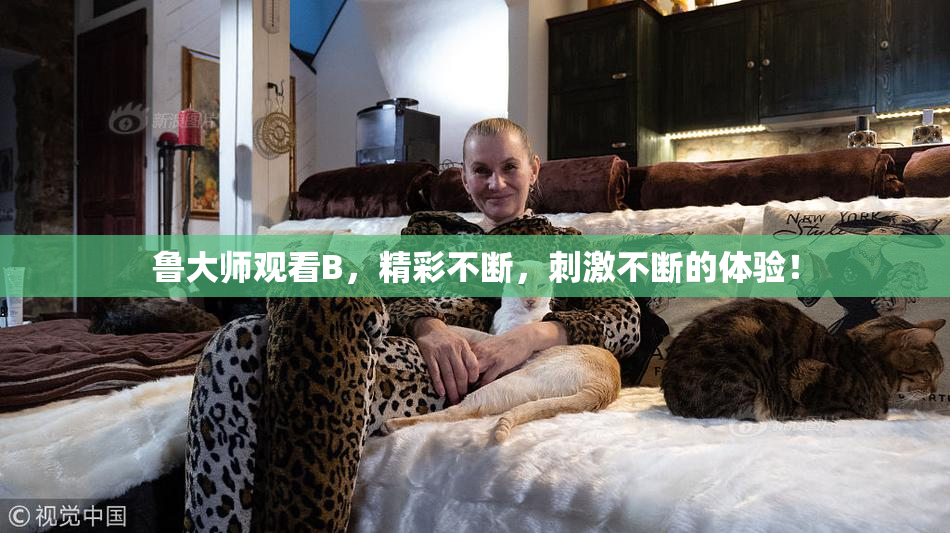鲁大师观看B，精彩不断，刺激不断的体验！