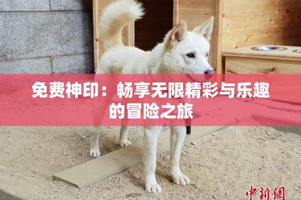 免费神印：畅享无限精彩与乐趣的冒险之旅