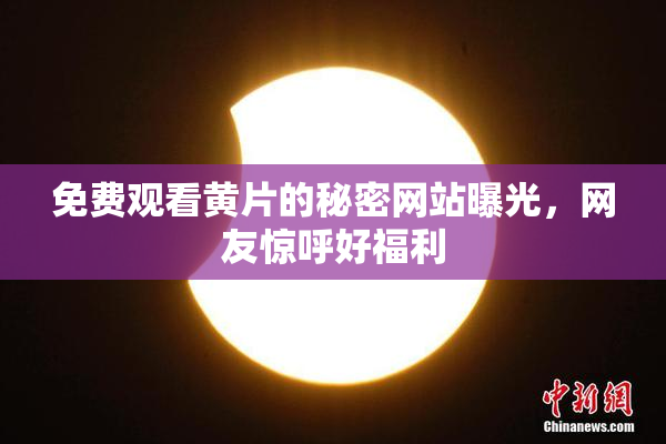 免费观看黄片的秘密网站曝光，网友惊呼好福利