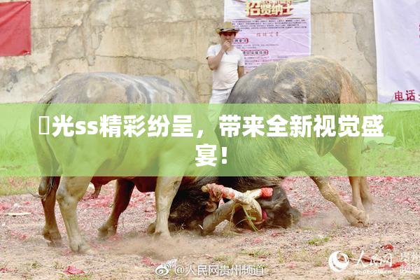 凪光ss精彩纷呈，带来全新视觉盛宴！