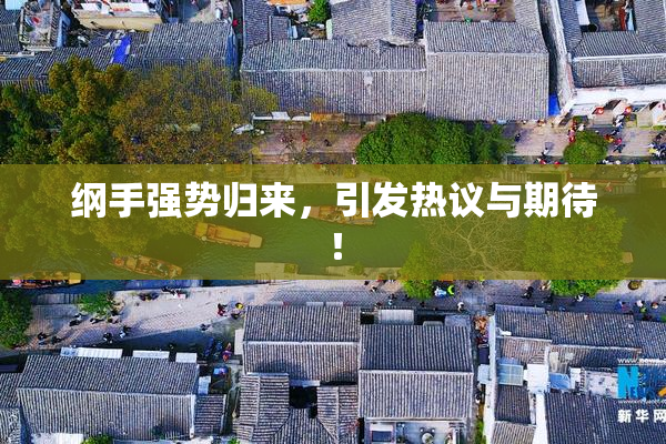 纲手强势归来，引发热议与期待！