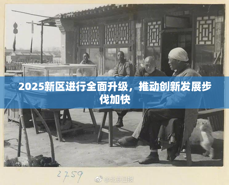 2025新区进行全面升级，推动创新发展步伐加快