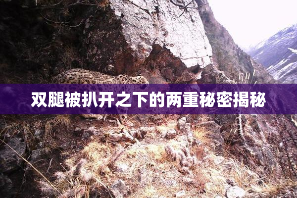 双腿被扒开之下的两重秘密揭秘