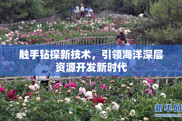 触手钻探新技术，引领海洋深层资源开发新时代
