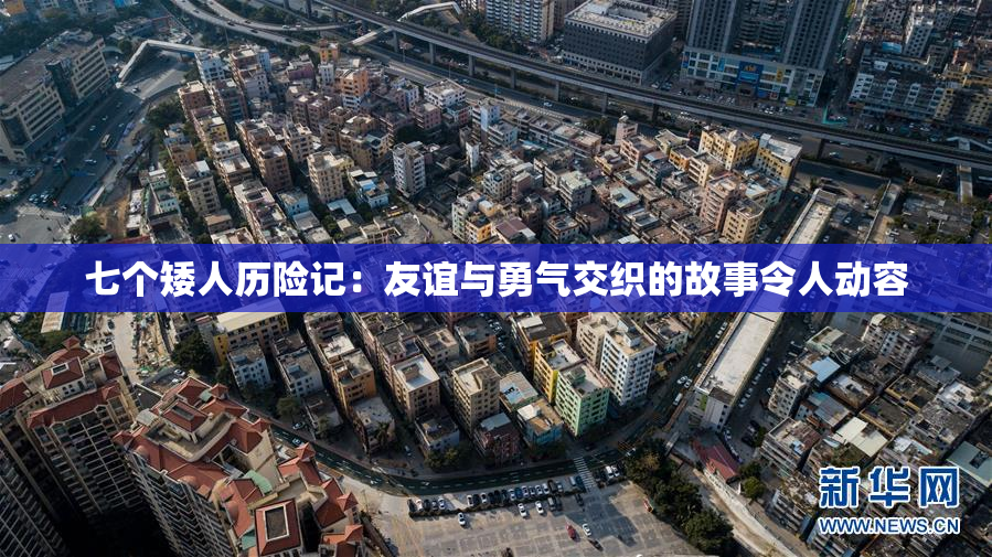 七个矮人历险记：友谊与勇气交织的故事令人动容