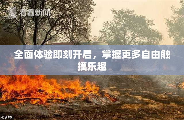 全面体验即刻开启，掌握更多自由触摸乐趣