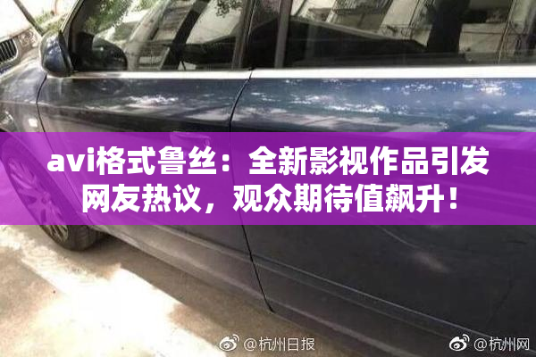 avi格式鲁丝：全新影视作品引发网友热议，观众期待值飙升！