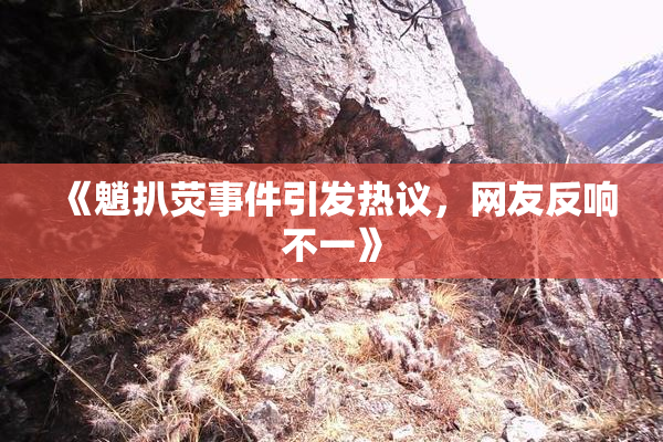 《魈扒荧事件引发热议，网友反响不一》