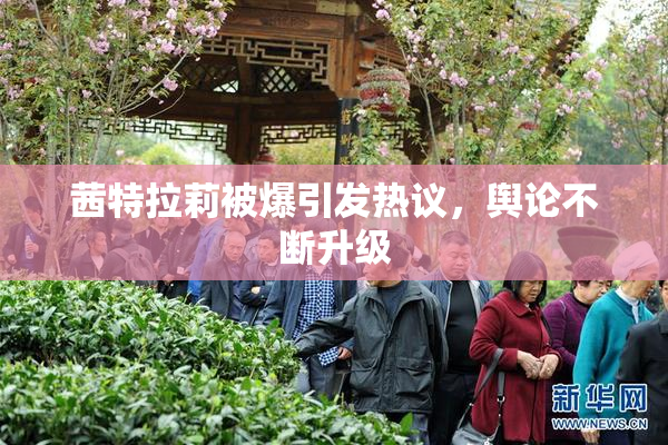 茜特拉莉被爆引发热议，舆论不断升级