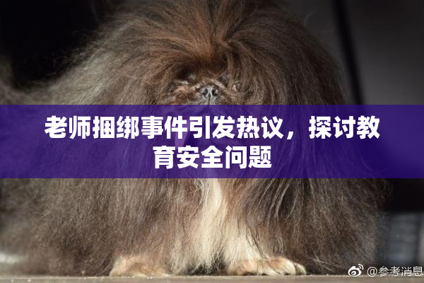老师捆绑事件引发热议，探讨教育安全问题