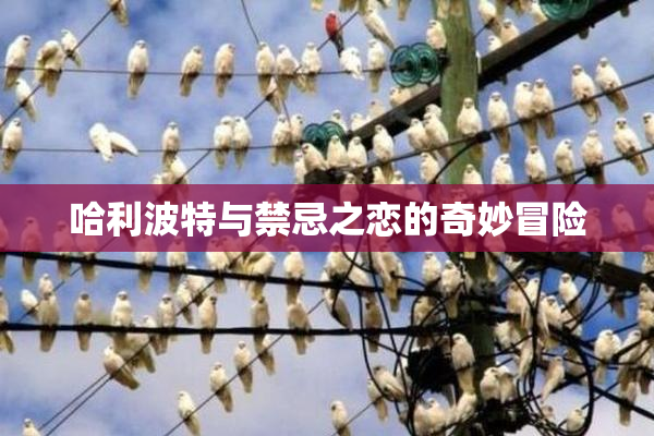 哈利波特与禁忌之恋的奇妙冒险