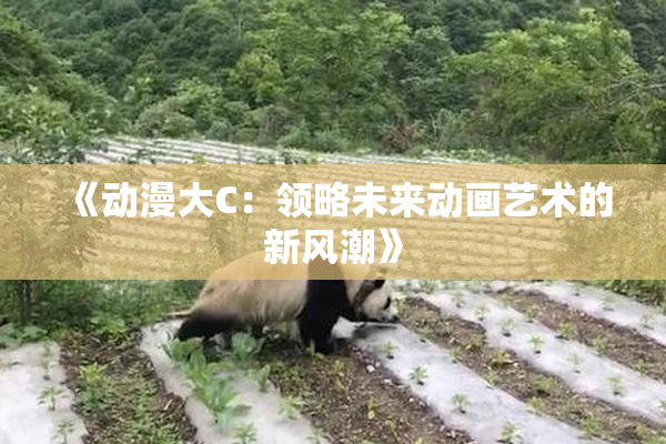 《动漫大C：领略未来动画艺术的新风潮》
