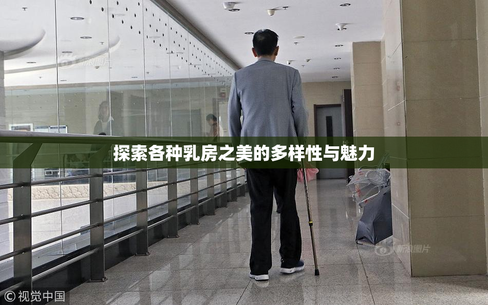 探索各种乳房之美的多样性与魅力