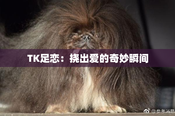 TK足恋：挠出爱的奇妙瞬间