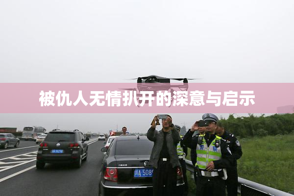 被仇人无情扒开的深意与启示