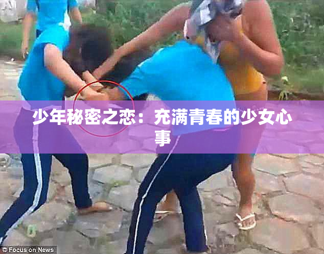 少年秘密之恋：充满青春的少女心事
