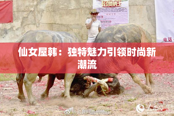 仙女屋韩：独特魅力引领时尚新潮流