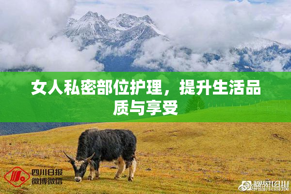 女人私密部位护理，提升生活品质与享受