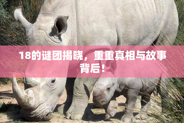 18的谜团揭晓，重重真相与故事背后！