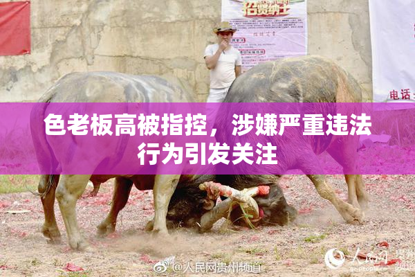 色老板高被指控，涉嫌严重违法行为引发关注