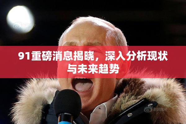 91重磅消息揭晓，深入分析现状与未来趋势