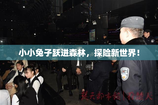 小小兔子跃进森林，探险新世界！