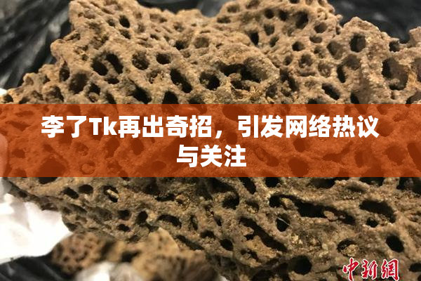 李了Tk再出奇招，引发网络热议与关注