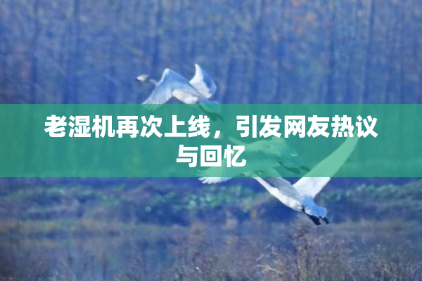 老湿机再次上线，引发网友热议与回忆
