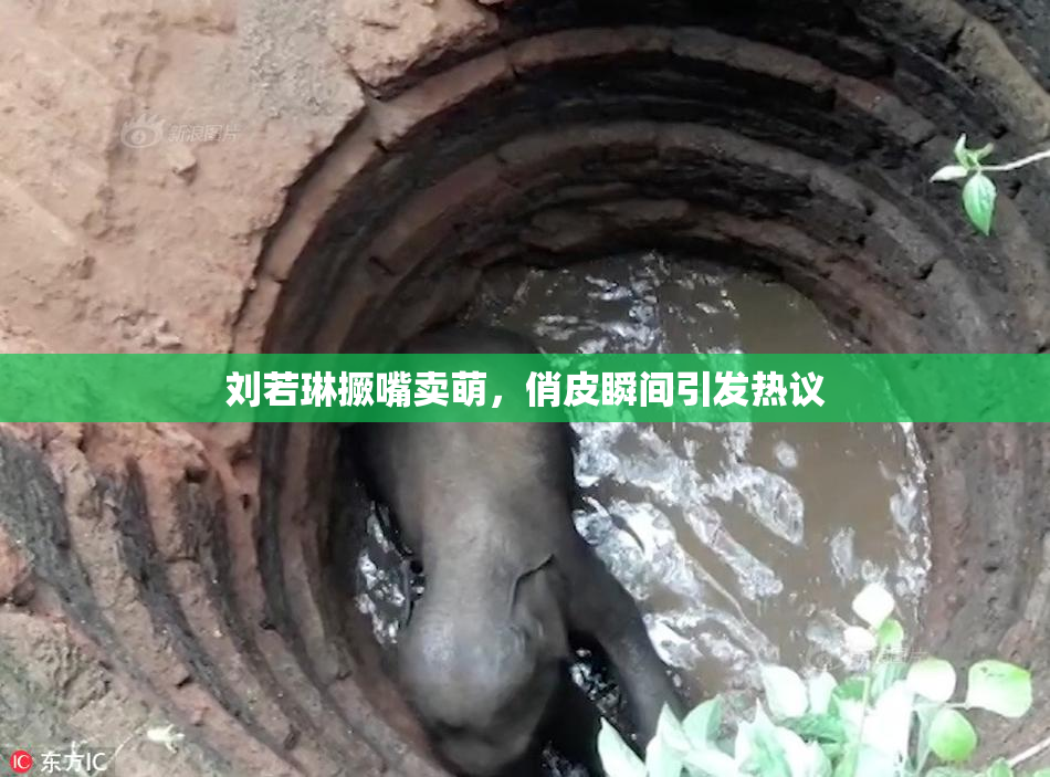 刘若琳撅嘴卖萌，俏皮瞬间引发热议