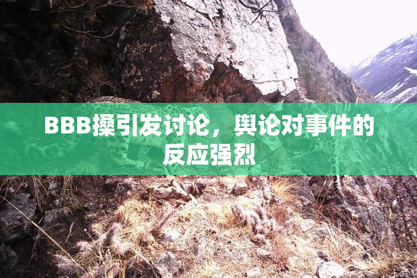 BBB搡引发讨论，舆论对事件的反应强烈