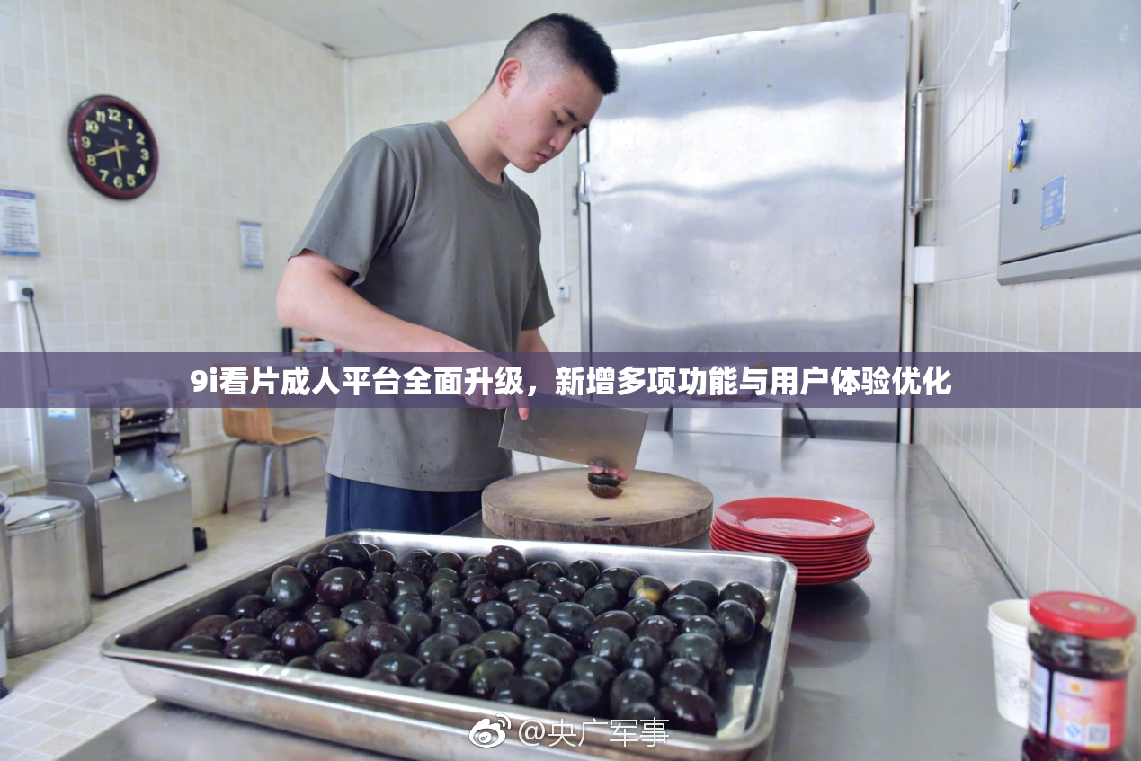 9i看片成人平台全面升级，新增多项功能与用户体验优化