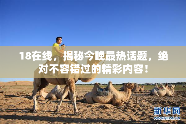18在线，揭秘今晚最热话题，绝对不容错过的精彩内容！
