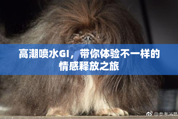 高潮喷水GI，带你体验不一样的情感释放之旅