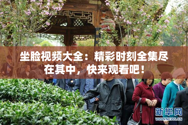 坐脸视频大全：精彩时刻全集尽在其中，快来观看吧！