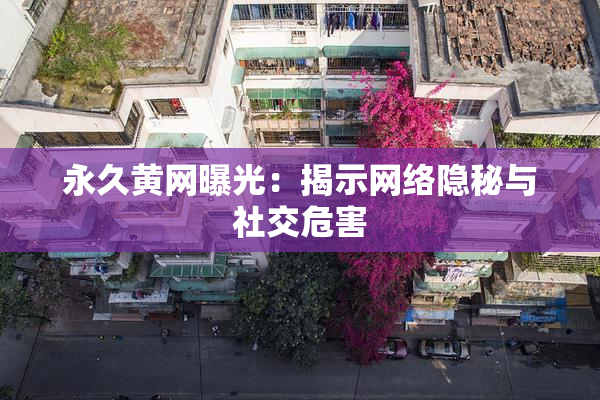 永久黄网曝光：揭示网络隐秘与社交危害