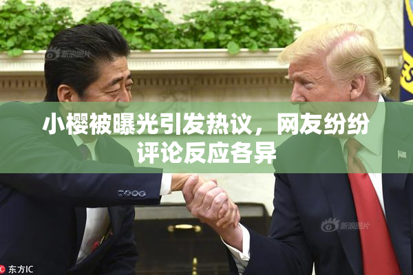 小樱被曝光引发热议，网友纷纷评论反应各异