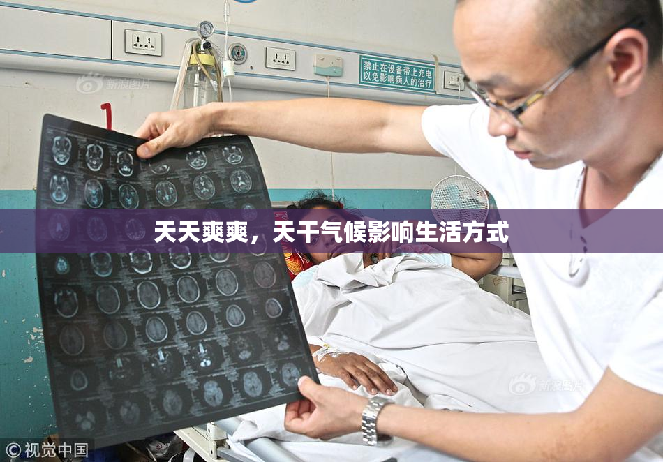 天天爽爽，天干气候影响生活方式