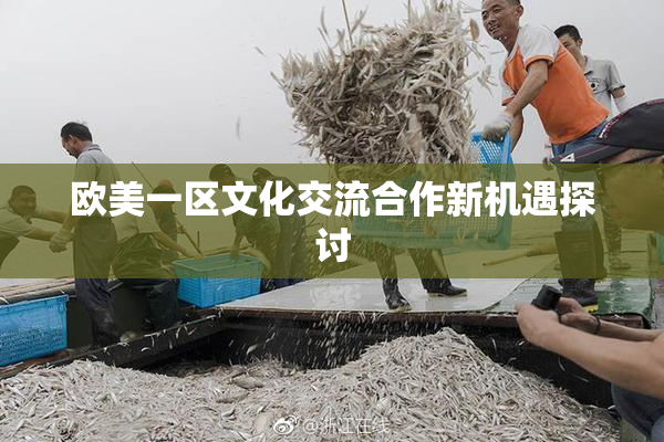 欧美一区文化交流合作新机遇探讨