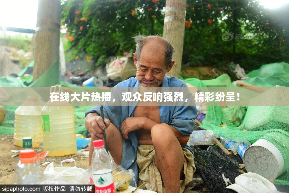 在线大片热播，观众反响强烈，精彩纷呈！