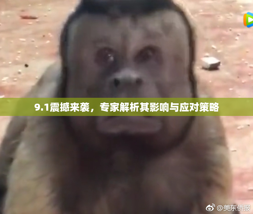 9.1震撼来袭，专家解析其影响与应对策略