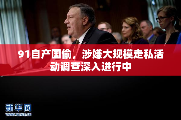 91自产国偷，涉嫌大规模走私活动调查深入进行中