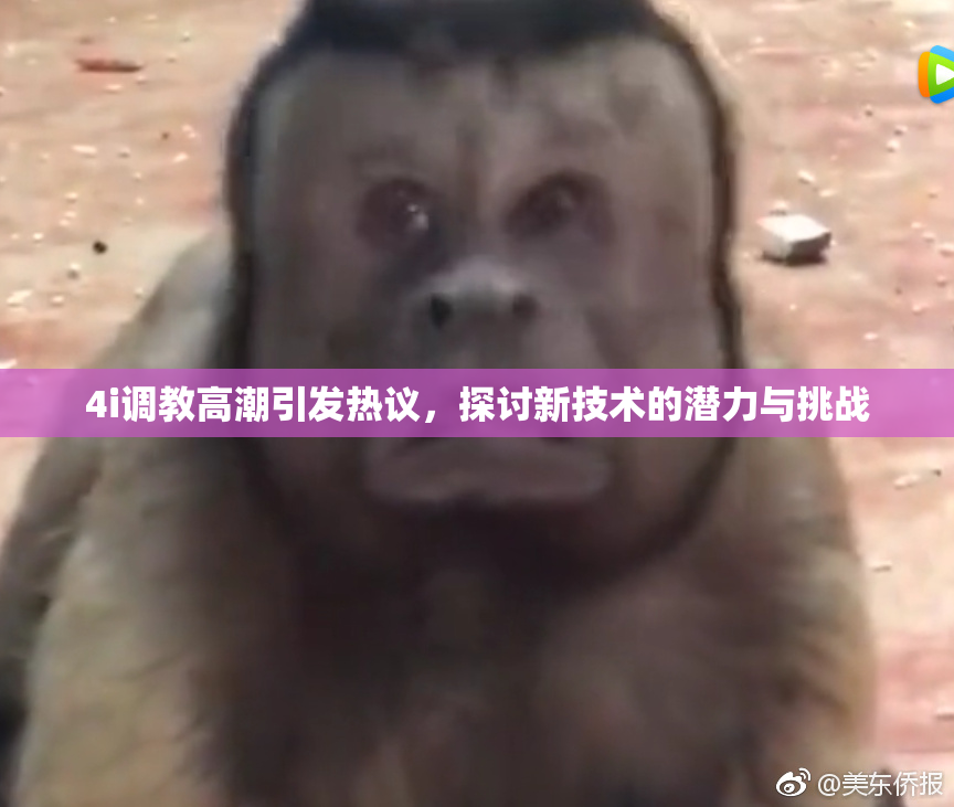 4i调教高潮引发热议，探讨新技术的潜力与挑战