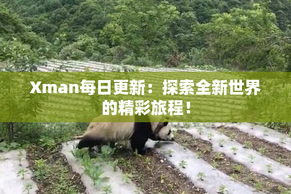 Xman每日更新：探索全新世界的精彩旅程！